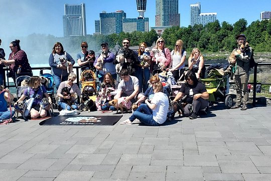 Tour image 7