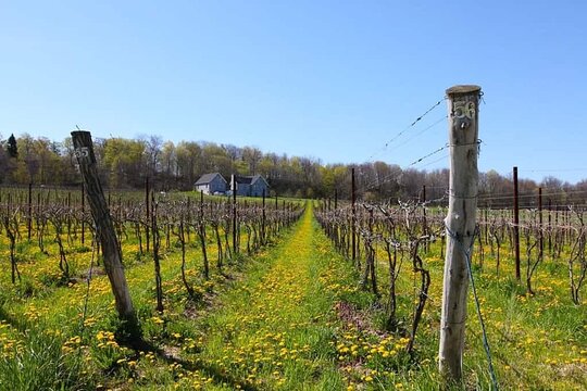 Tour image 5