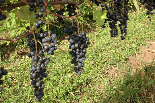 Tour image 1